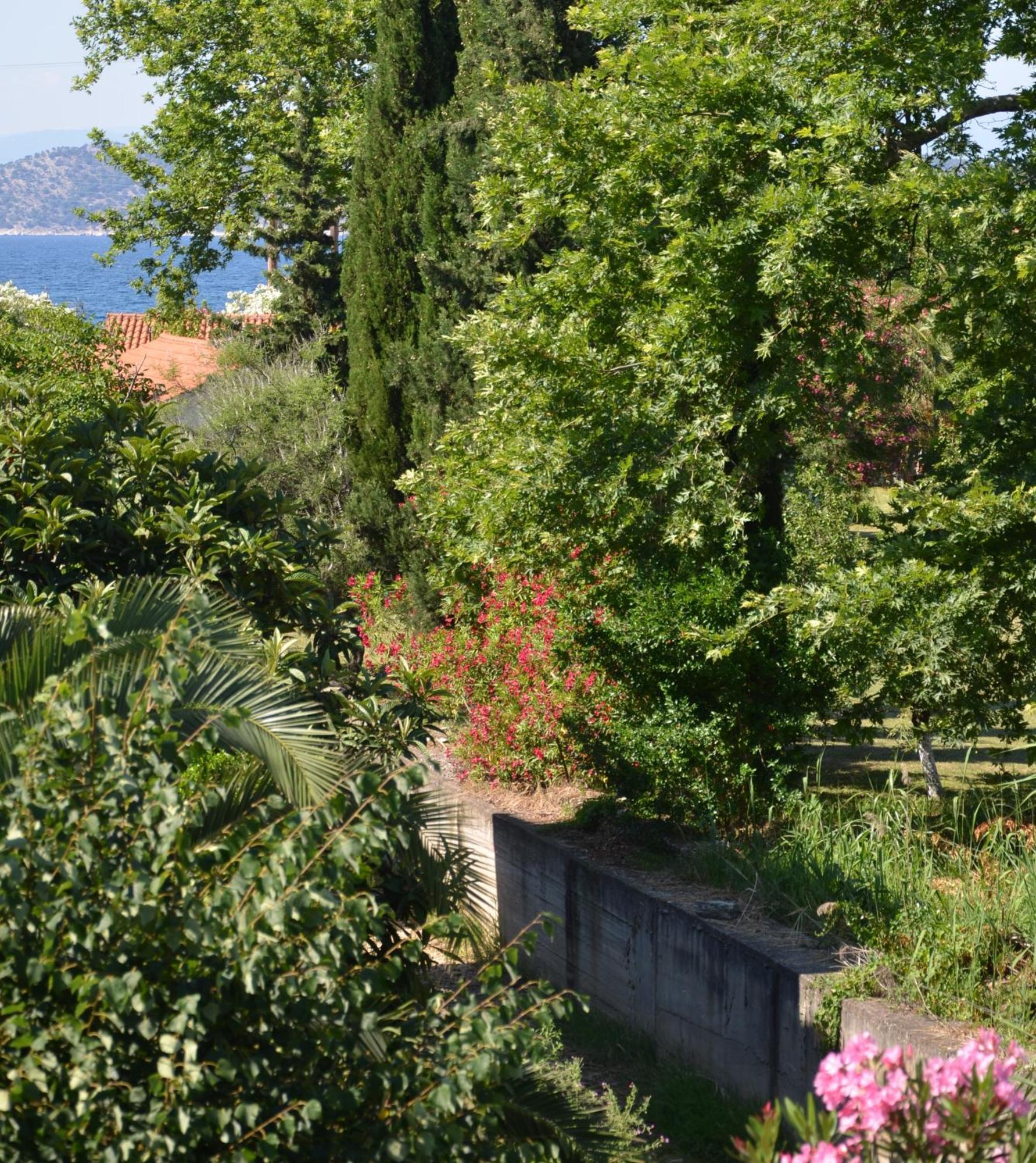 Egeo Hotel Liménasz Kültér fotó